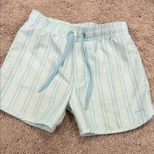 Kids Swim Trunks - Light Blue Striped
